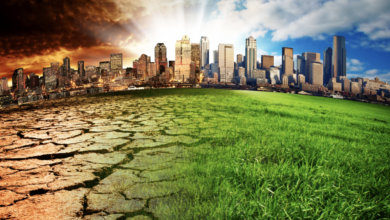 Photo of “No planet B” – Don McGonagle – climate change an existential threat for our times