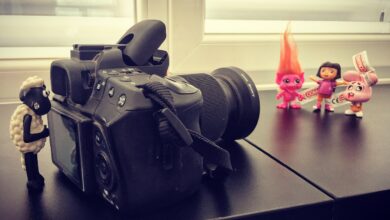 Photo of What are differences between big and small game development studios?