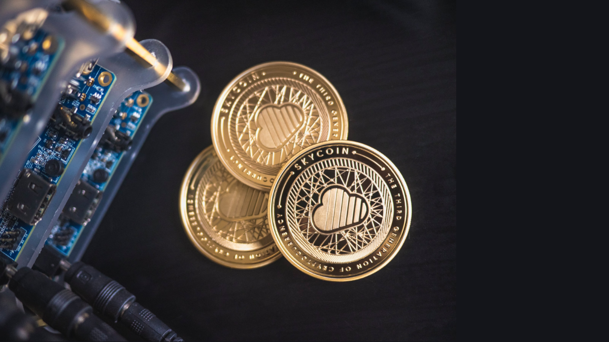 Is it Worthy to Go for Free Crypto Signals in the Beginning?