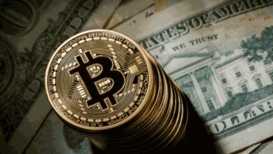 Photo of USD to Remain the King until Bitcoin Dethrone the currency: Studies