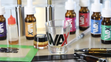 Photo of What to Look For When Buying a Wax Liquidizer
