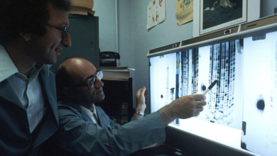 Photo of Where Did DNA Sequencing Begin?
