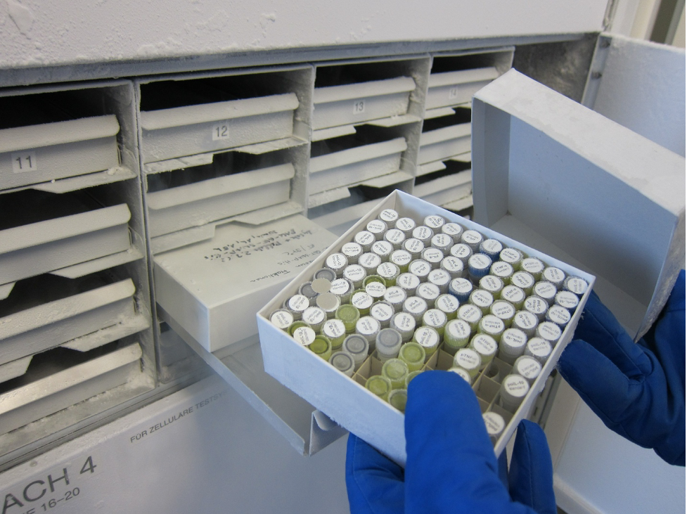Biobanking of Human Biospecimens by Pierre Hainaut Biobanking of Human Biospecimens by Pierre Hainaut