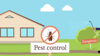 Photo of 5 Serious Damages Pests Can Cause In Your Home And To Family Members