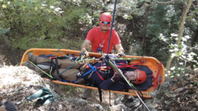Photo of Advantages of Polyester Ropes