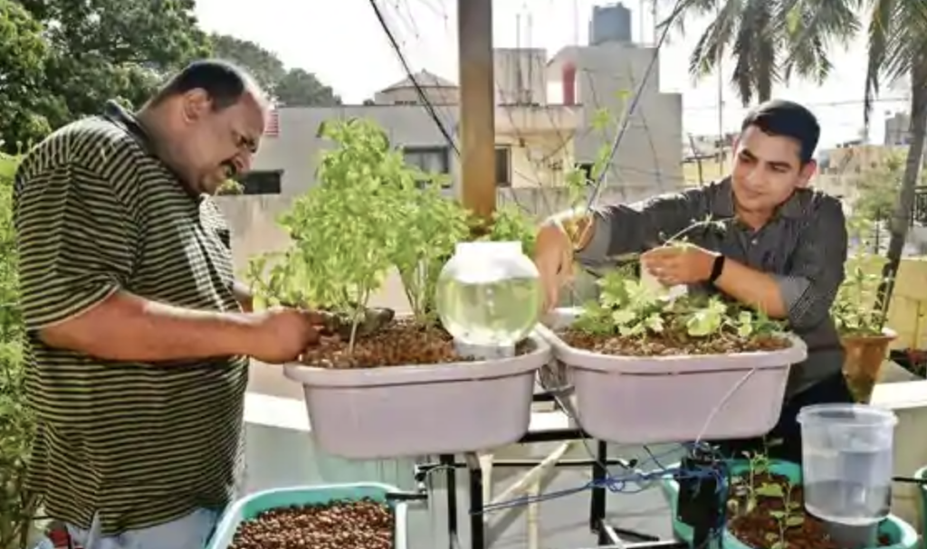 The Art Of Growing Plants Without Soil - Aeroponics, and Hydroponic