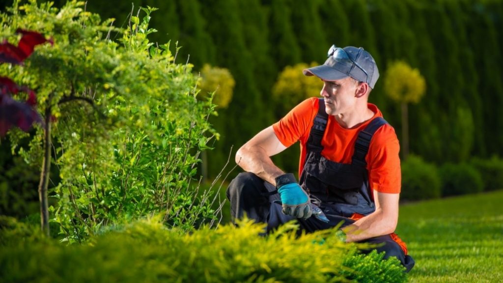 Protect Your Landscaping Company, How To Get Insurance For Landscaping Business