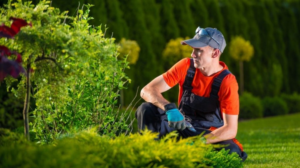 Types of Insurance You Require to Protect your Landscaping Company