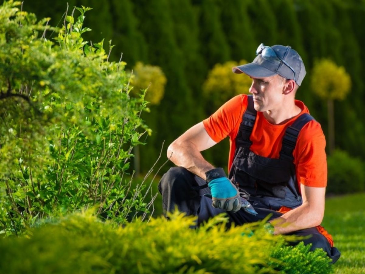 What kind of insurance does a landscaping company need