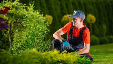 Photo of Types of Insurance You Require to Protect your Landscaping Company