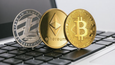 Photo of What’s the best type of wallet for cryptocurrency? Let’s find out!