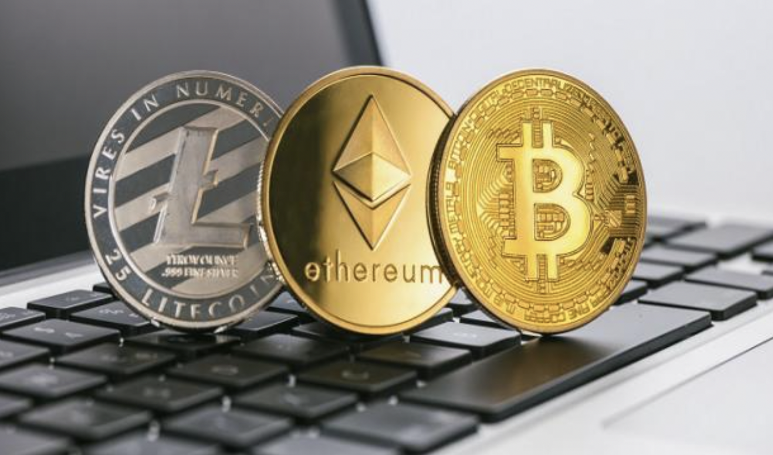 What’s the best type of wallet for cryptocurrency? Let’s find out!