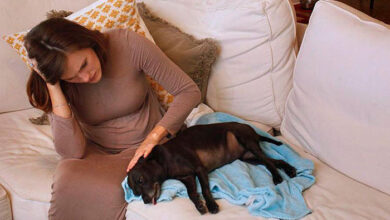 Photo of Dealing with the Death of Your Pet