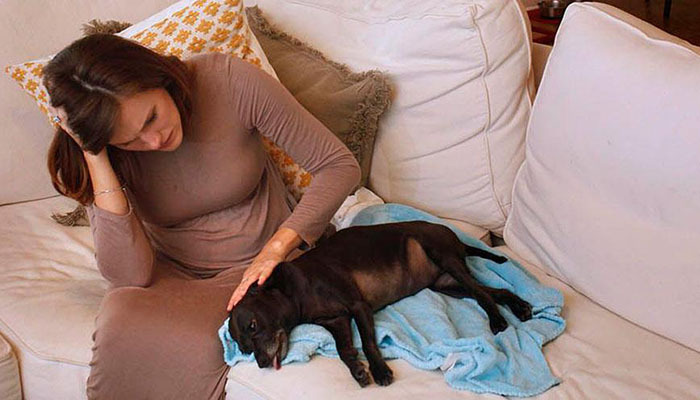 Dealing with the Death of Your Pet