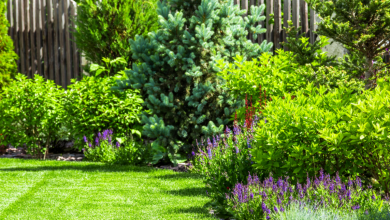 Photo of 5 Ways To Make Your Backyard More Appealing