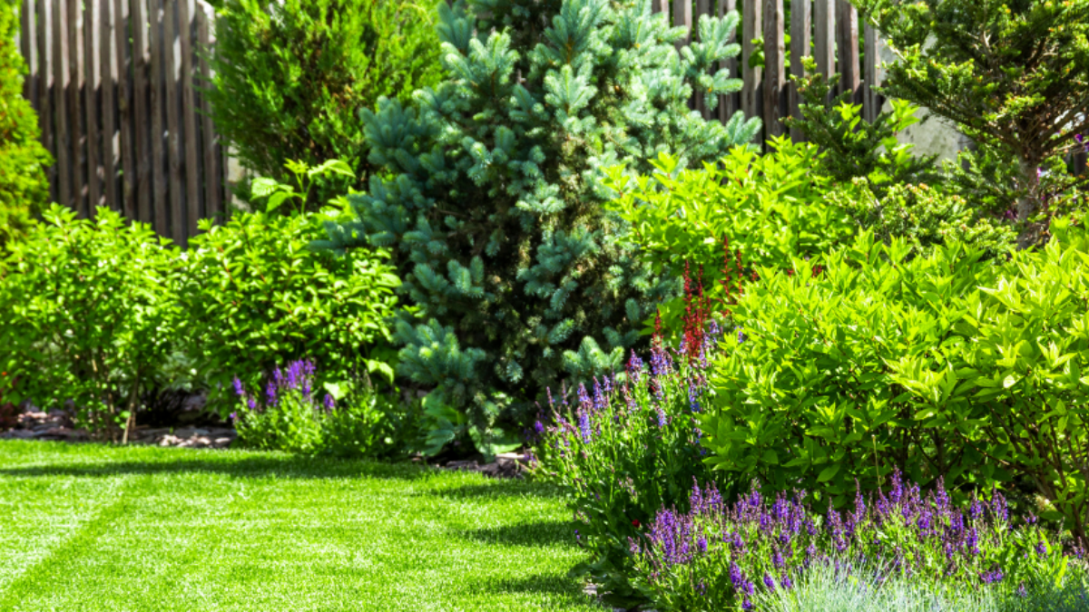 5 Ways To Make Your Backyard More Appealing