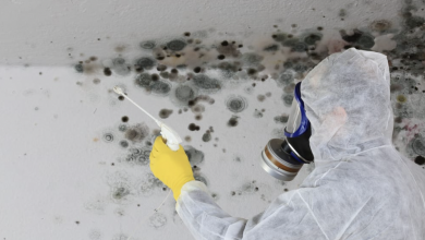 Photo of How To Remove Mold