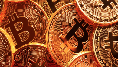 Photo of Why has bitcoin become the most famous substitution of money?