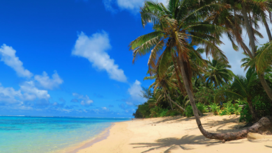 Photo of Rarotonga Travel Guidelines