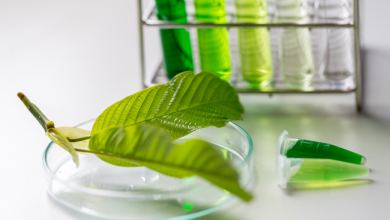 Photo of The Science Of Mitragyna Speciosa