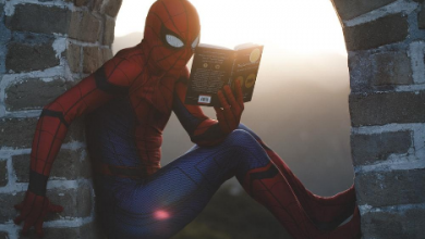 Photo of What is a Light Novel and Where to Read Light Novel?