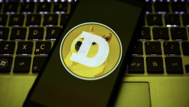 Photo of Dogecoin: Reason For Its Exponential Growth