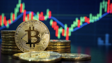 Photo of Beginner’s Guide to Bitcoin Investments