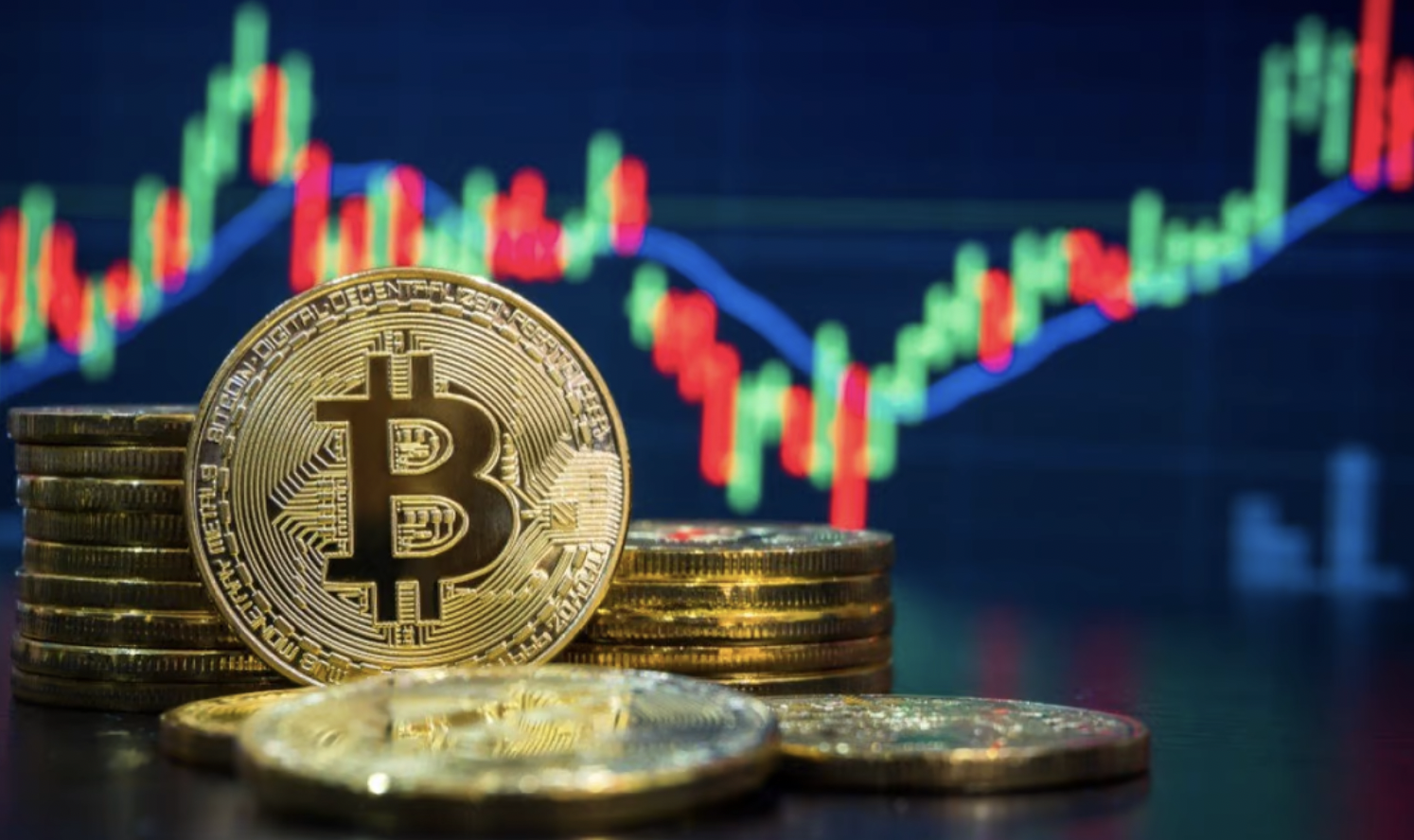 Beginner's Guide to Bitcoin Investments