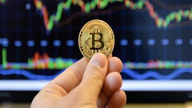 Photo of Bitcoin in the world of Online Gaming