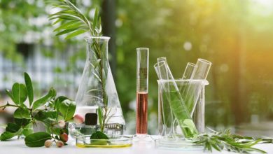 Photo of What are Botanical Extracts and Where to Buy Them