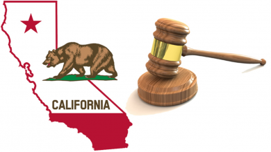 Photo of 13 Weird Laws in California – Interesting Facts