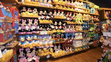 Photo of Best Places to Buy Disney Items