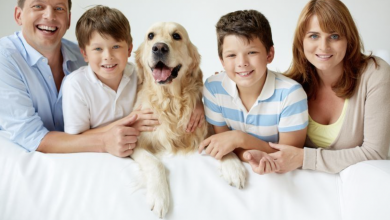 Photo of Finding the Best All-Natural Healthcare Products for Dogs