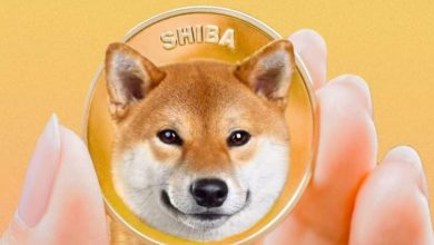Photo of Shiba Inu Rebounds 40% Despite MajoRrSelling By Major Whales