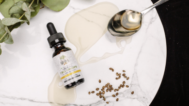 Photo of Starting a business? Consider this growing market for your next venture