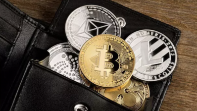 Photo of Describing the Intricacies of a Wallet for Storing Digital Currencies Like Bitcoin and Others