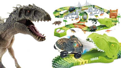 Photo of Dinosaur Playsets – Coolest Toys For Boys And Girls
