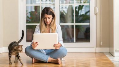 Photo of The Best Way to Purchase a Taken Domain Name