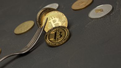 Photo of What are Chain Splits Exactly? (Explained)