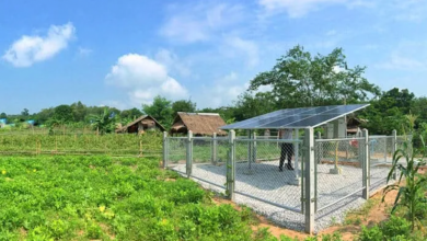 Photo of Things must Know about Solar Pumping System for Agricultural Irrigation