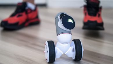 Photo of Top 5 Deep Learning Project Ideas for a New Career in 2022