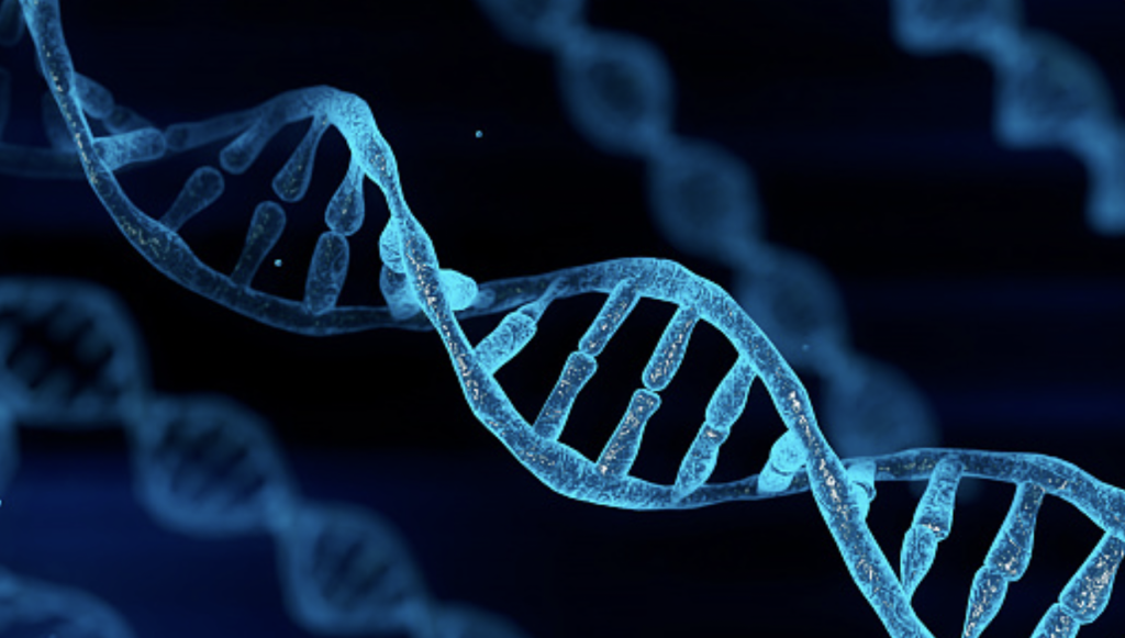 What DNA is and How It Determines Family History