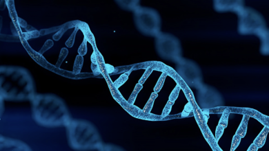 Photo of What DNA is and How It Determines Family History