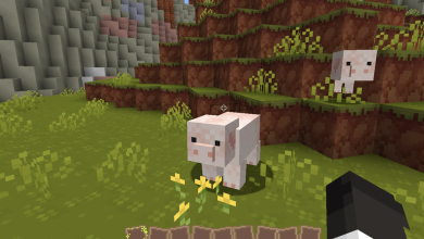 Photo of Best Minecraft Texture Packs