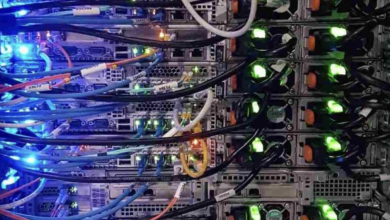 Photo of A Complete Web Hosting Guide