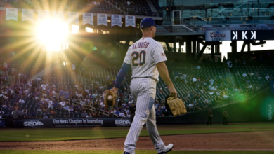 Photo of The Inside Scoop on the Verification Sports game Site