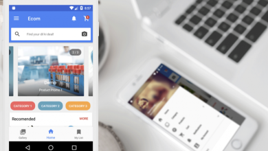 Photo of The Popularity of the Microsoft .NET Ecommerce Platform