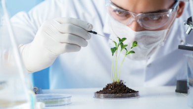 Photo of 10 Application of Biotechnology that are Changing the World