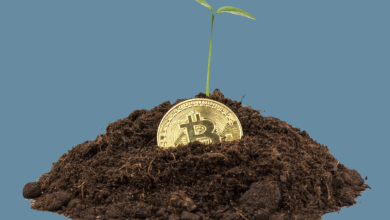 Photo of Blockchain Revolutionise the Carbon Credit Space