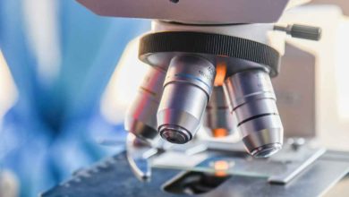 Photo of Facts You Should Know About the Tax Credit For Research and Development